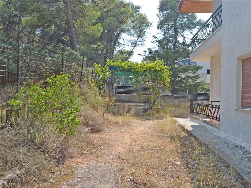 Таунхаус в Афинах, Греция, 235 м² - фото 7