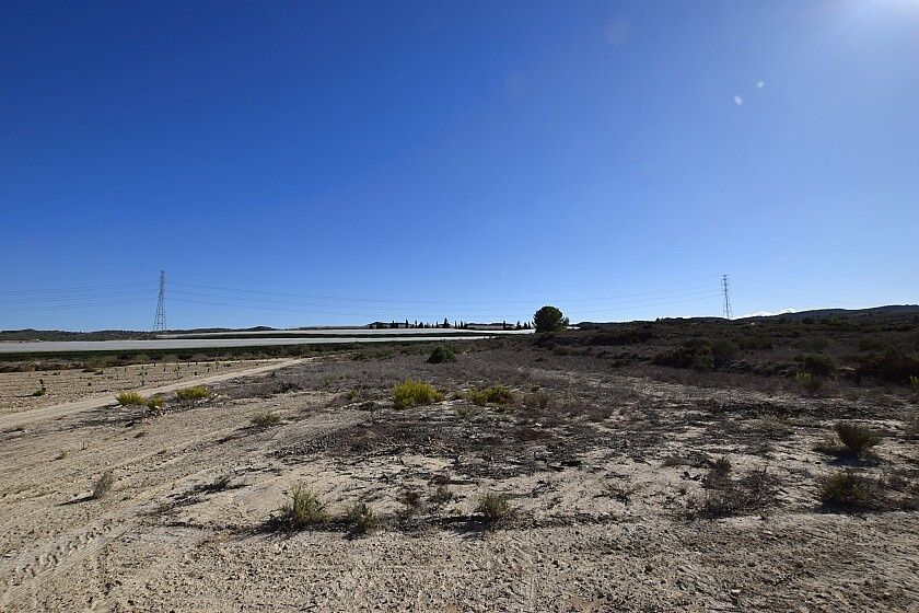 Земля в Сан-Мигель де Салинас, Испания, 25 000 м² - фото 4