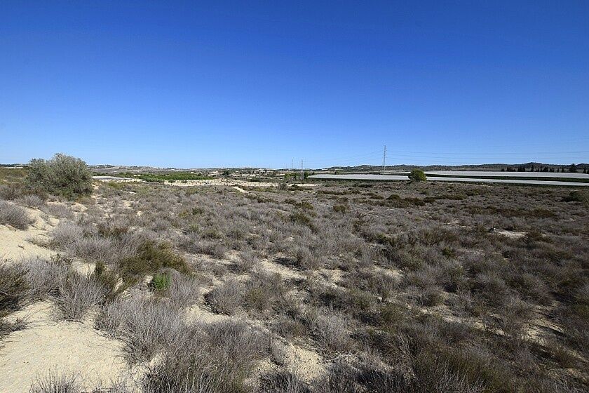 Земля в Сан-Мигель де Салинас, Испания, 25 000 м² - фото 5