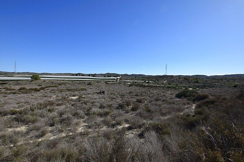 Земля в Сан-Мигель де Салинас, Испания, 25 000 м² - фото 6