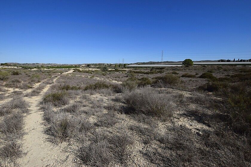 Земля в Сан-Мигель де Салинас, Испания, 25 000 м² - фото 8