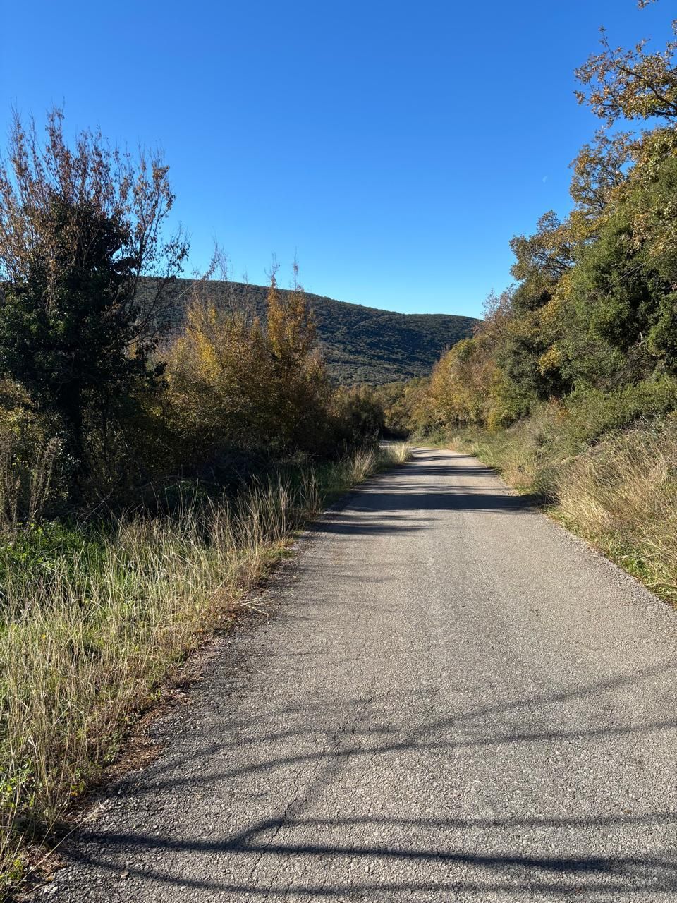 Земля в Улцине, Черногория, 14 767 м² - фото 5