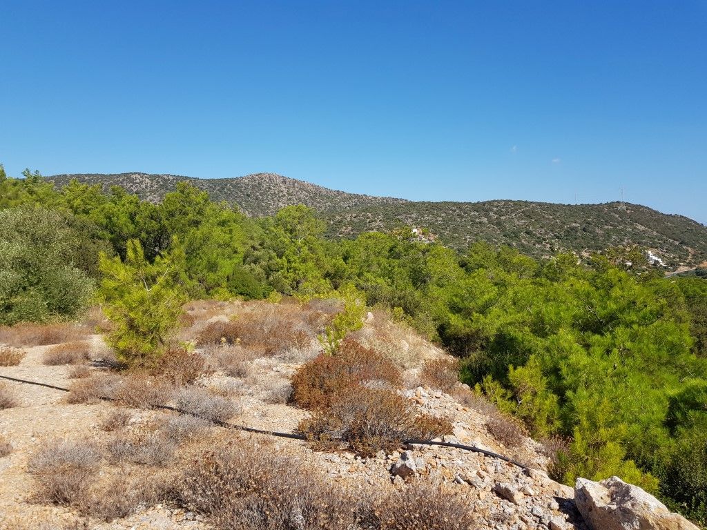 Земля в Ираклионе, Греция, 4 166 м² - фото 11