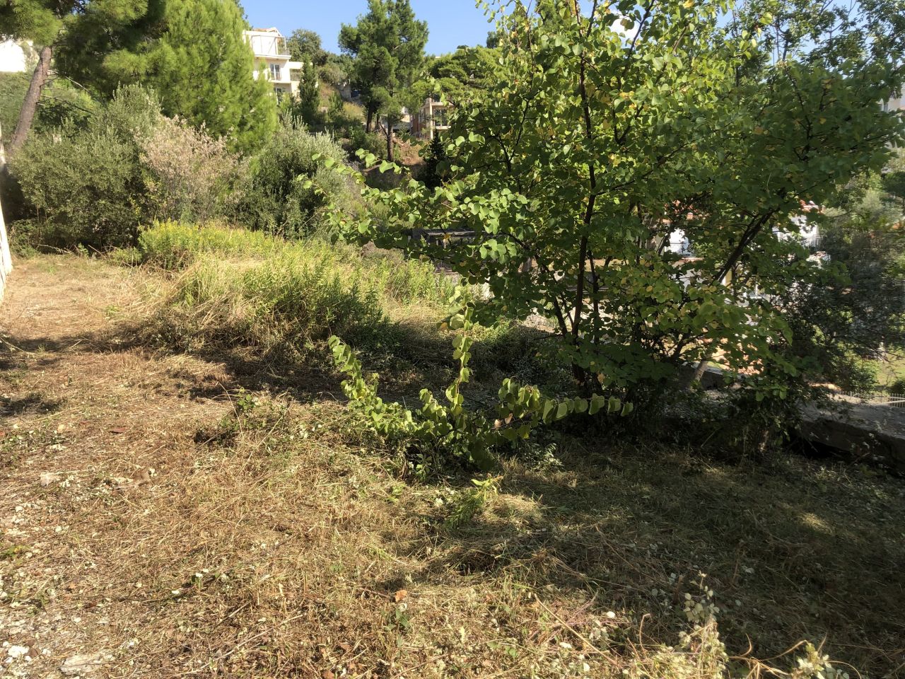 Земля в Шушани, Черногория, 550 м² - фото 17