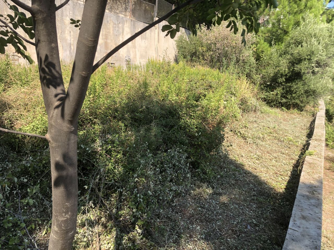 Земля в Шушани, Черногория, 550 м² - фото 13