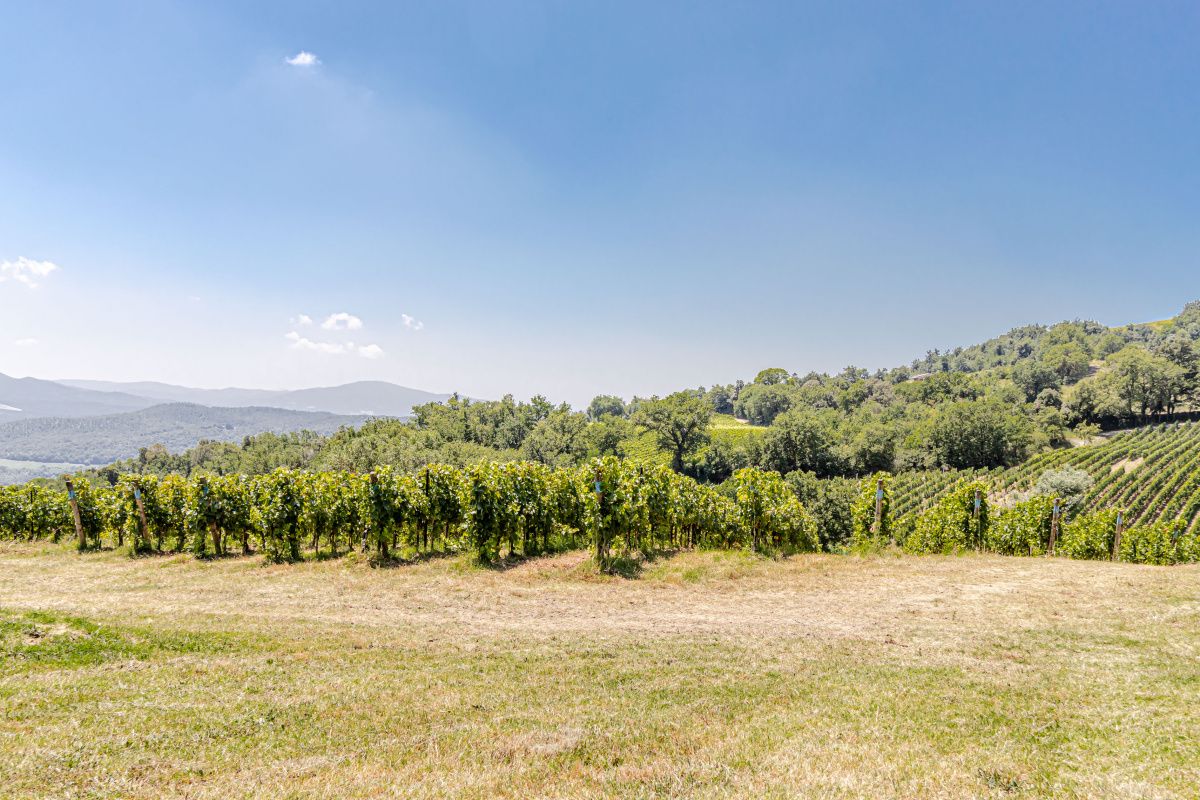 Поместье в Монтекатини-Валь-ди-Чечина, Италия, 581 м² - фото 7