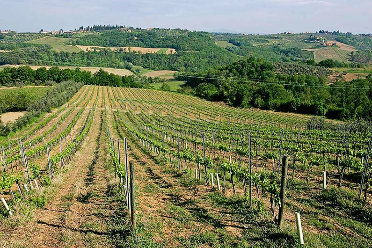 Поместье в Кьянти, Италия, 3 750 м² - фото 11