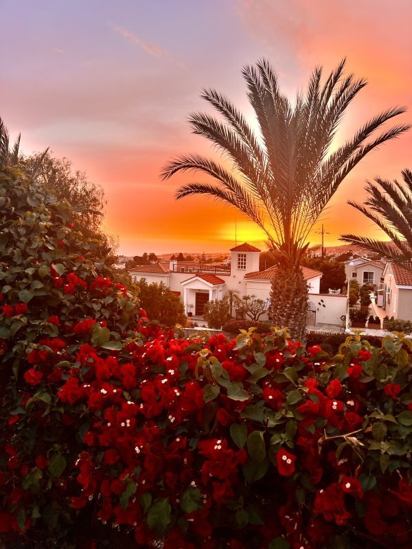 Вилла в Пейе, Кипр, 140 м² - фото 17