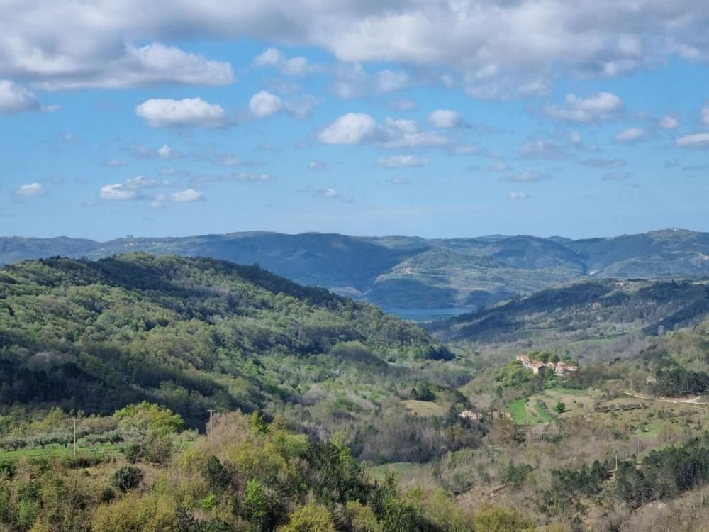 Вилла в Бузете, Хорватия, 512 м² - фото 2