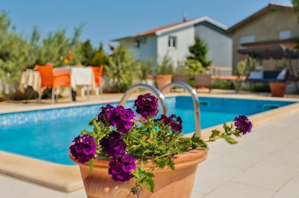 Отель, гостиница в Медулине, Хорватия, 325 м² - фото 2