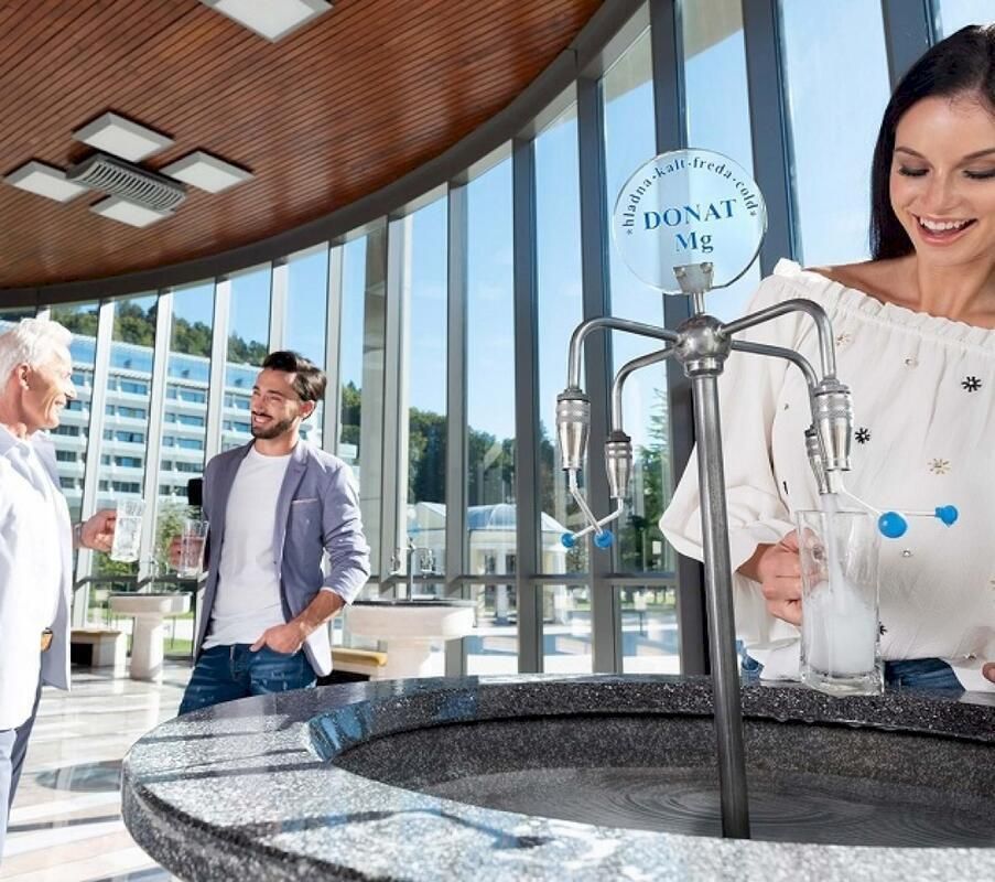 Отель, гостиница Rogaska Slatina, Хорватия - фото 3