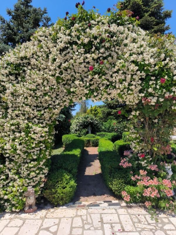 Вилла в Медулине, Хорватия, 240 м² - фото 3