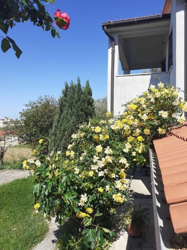 Отель, гостиница в Вижинаде, Хорватия, 357 м² - фото 3