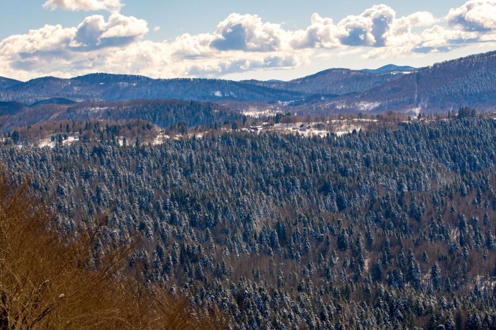 Вилла в Равне-Горе, Хорватия, 150 м² - фото 4