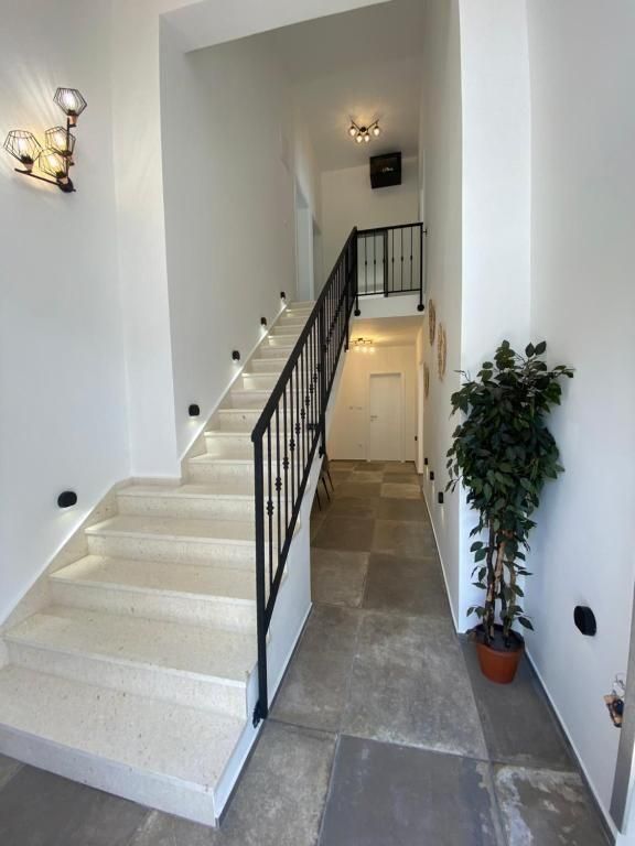 Вилла Vir, Хорватия, 280 м² - фото 4