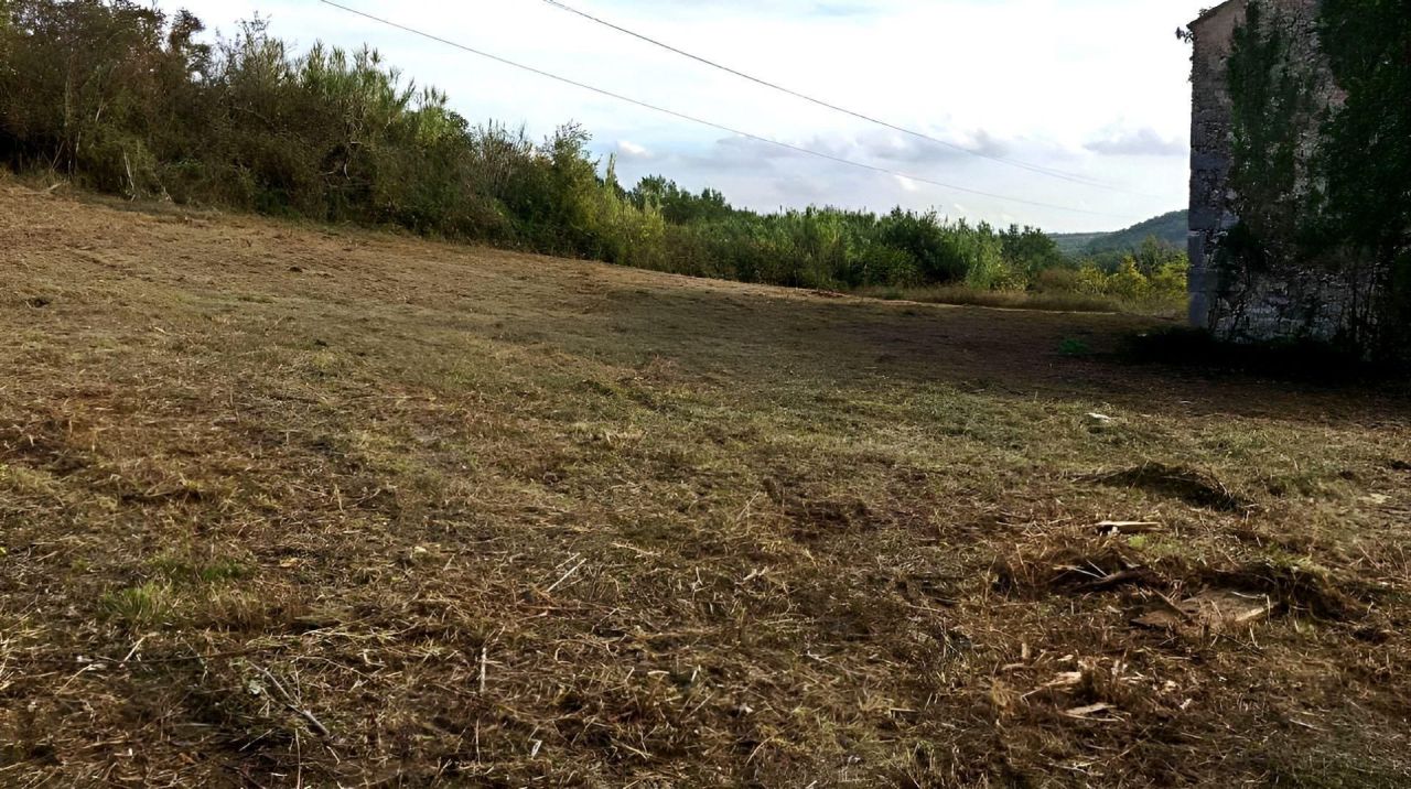 Вилла в Буйе, Хорватия, 626 м² - фото 4