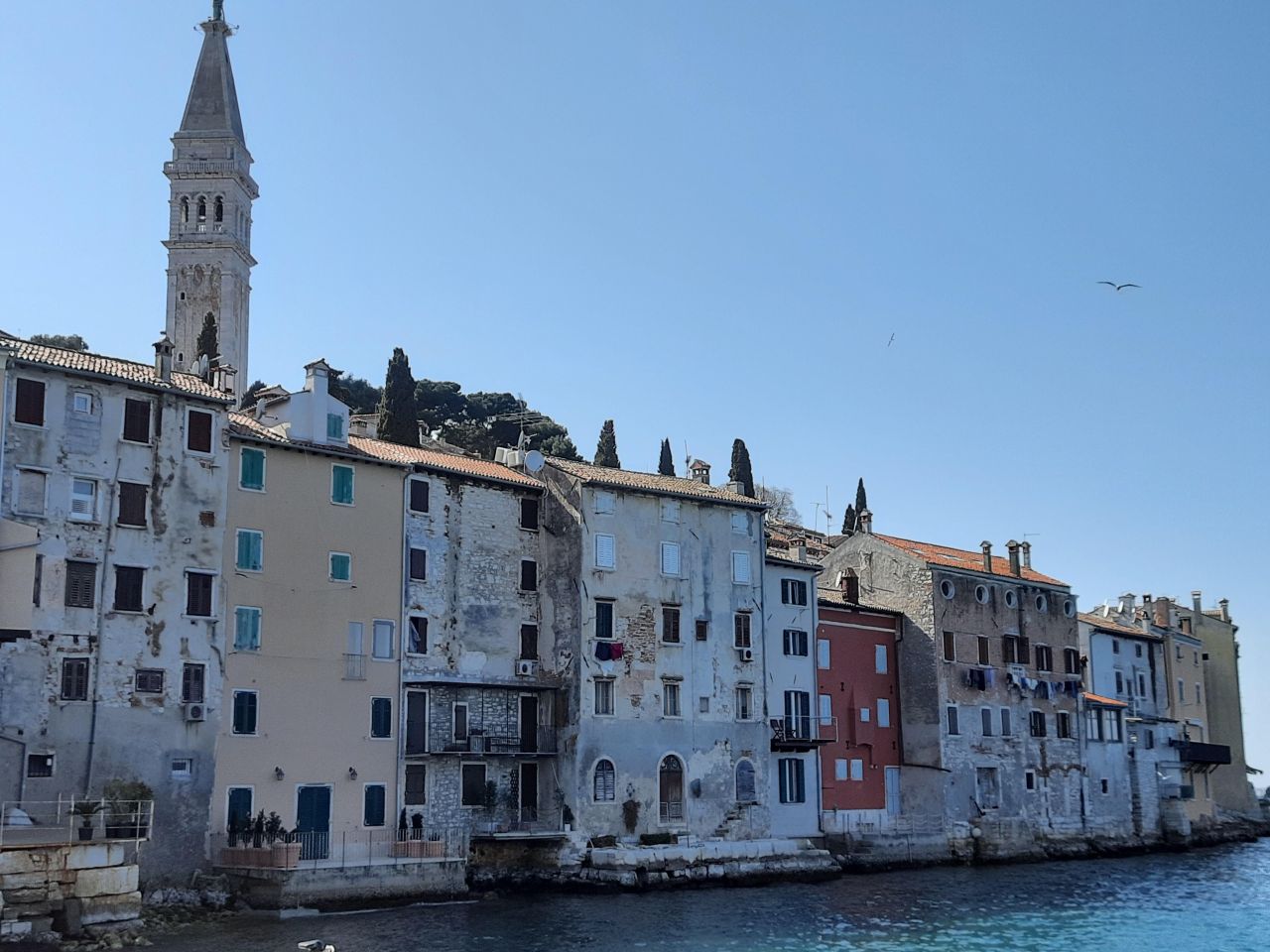 Отель, гостиница в Ровини, Хорватия, 900 м² - фото 4