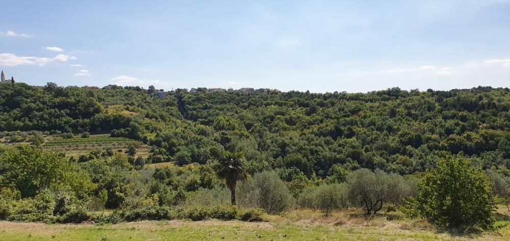 Вилла в Буйе, Хорватия, 212 м² - фото 5