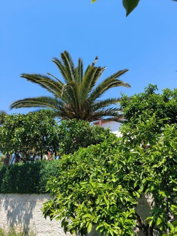 Вилла в Медулине, Хорватия, 240 м² - фото 5