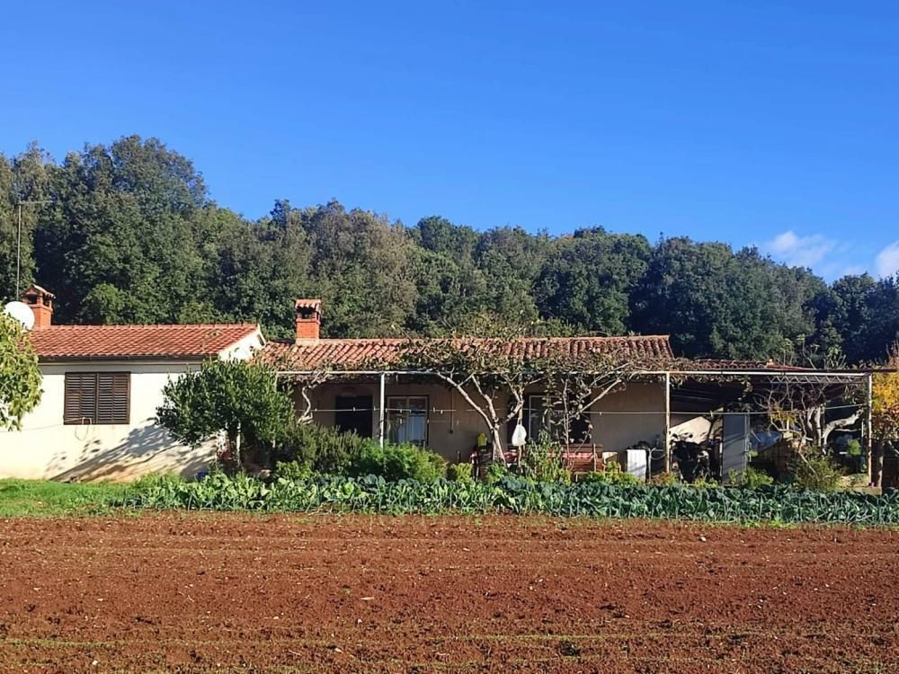 Вилла в Ровини, Хорватия, 420 м² - фото 6