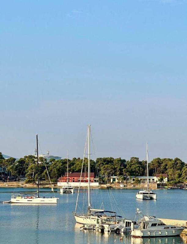 Отель, гостиница в Задаре, Хорватия, 651 м² - фото 6