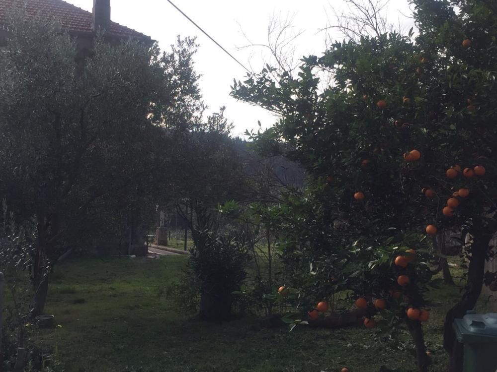 Вилла Mokosica, Хорватия, 250 м² - фото 8