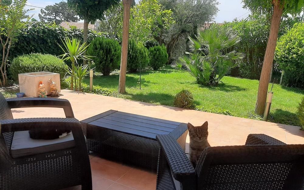 Отель, гостиница в Подстране, Хорватия, 599 м² - фото 7