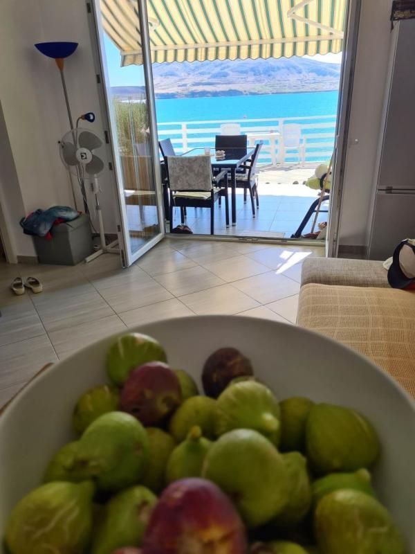 Отель, гостиница Pag, Хорватия, 480 м² - фото 6