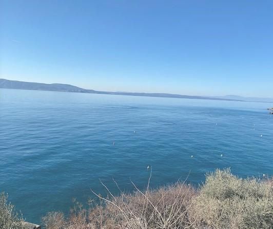 Отель, гостиница в Нови-Винодольски, Хорватия, 250 м² - фото 5