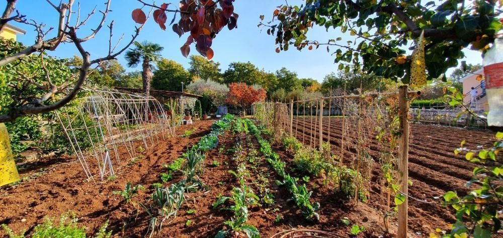 Отель, гостиница в Порече, Хорватия, 420 м² - фото 9