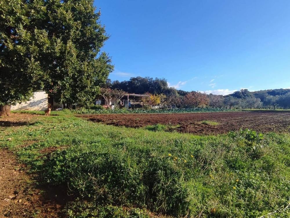 Вилла в Ровини, Хорватия, 420 м² - фото 9