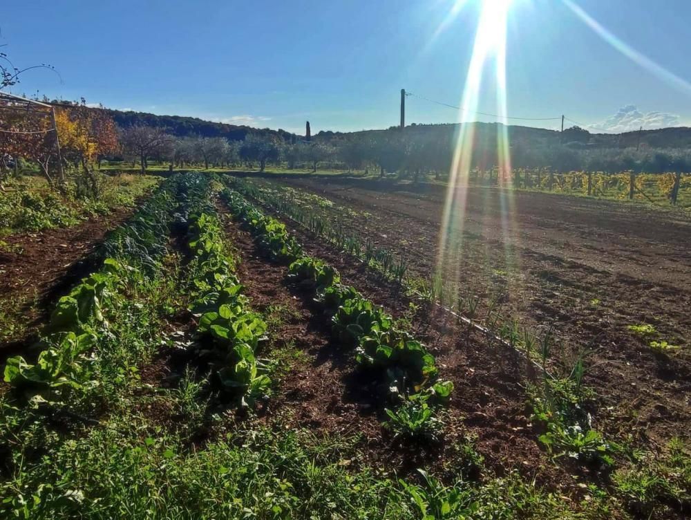 Вилла в Ровини, Хорватия, 420 м² - фото 10