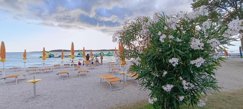 Отель, гостиница в Фажане, Хорватия, 648 м² - фото 10