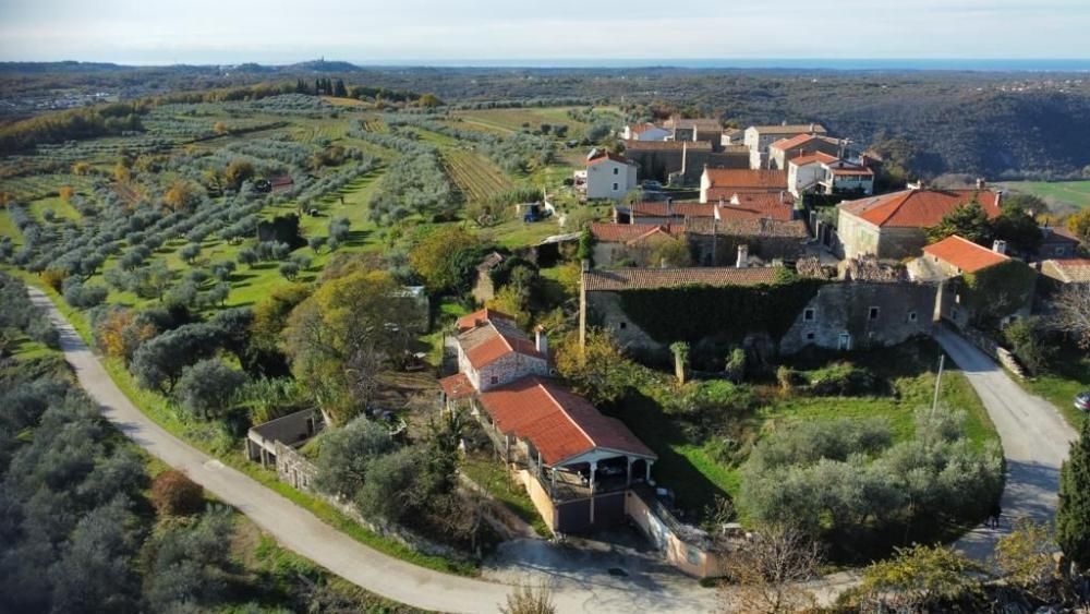 Вилла в Буйе, Хорватия, 1 962 м² - фото 10