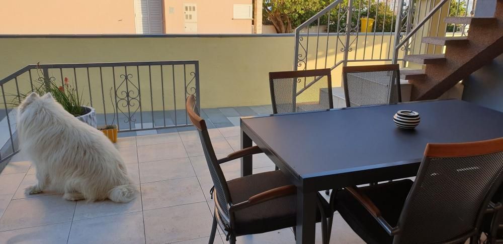 Отель, гостиница Nin, Хорватия, 200 м² - фото 10