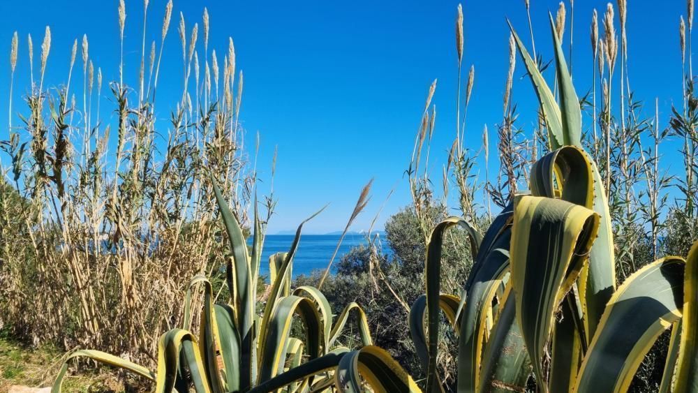 Вилла на Висе, Хорватия, 140 м² - фото 10