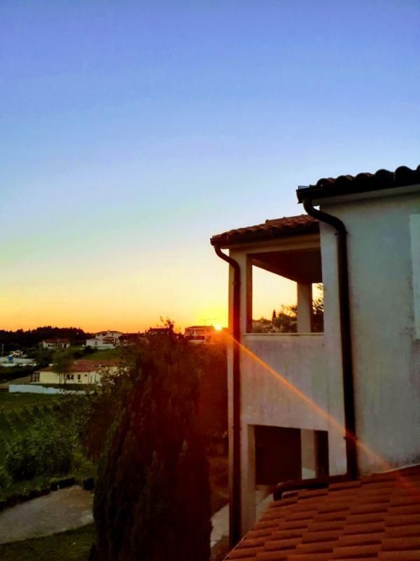 Отель, гостиница в Вижинаде, Хорватия, 357 м² - фото 12