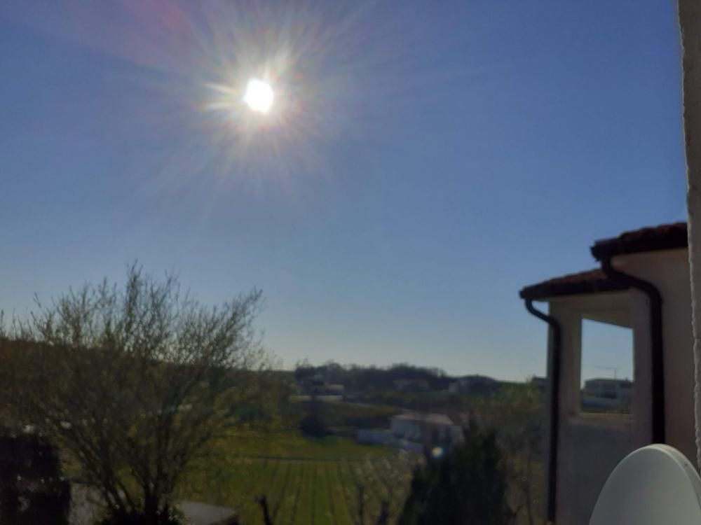 Отель, гостиница в Вижинаде, Хорватия, 357 м² - фото 13