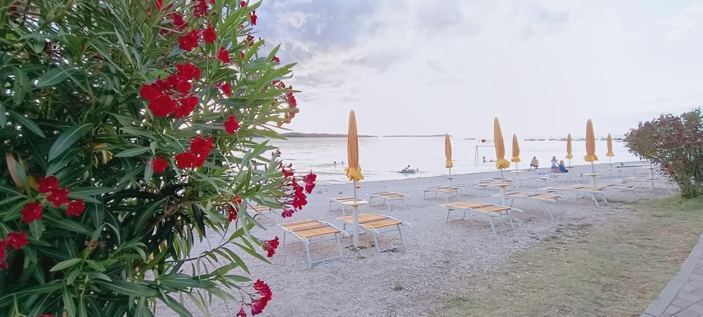 Отель, гостиница в Фажане, Хорватия, 648 м² - фото 14