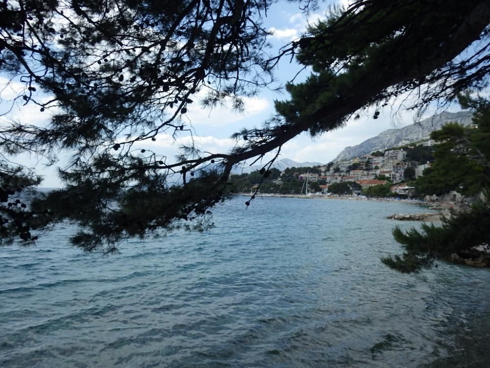 Отель, гостиница в Башка-Воде, Хорватия, 400 м² - фото 18