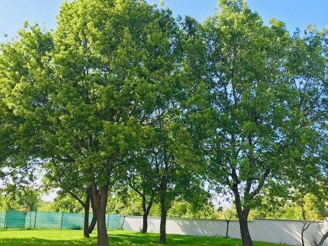 Отель, гостиница Sveti Lovreč, Хорватия, 450 м² - фото 18