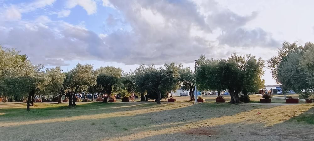 Отель, гостиница в Фажане, Хорватия, 648 м² - фото 18