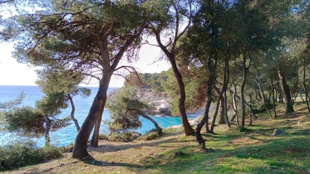 Отель, гостиница в Пуле, Хорватия, 900 м² - фото 19