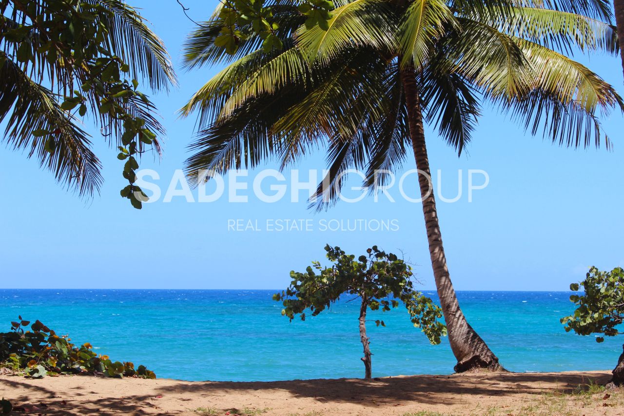 Вилла в Сосуа, Доминиканская Республика, 765 м² - фото 5