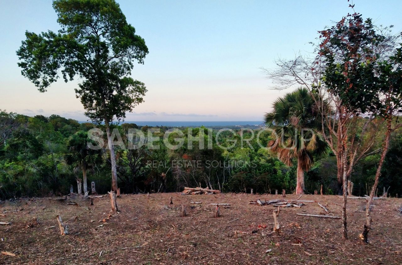 Земля в Сосуа, Доминиканская Республика, 52 520 м² - фото 11