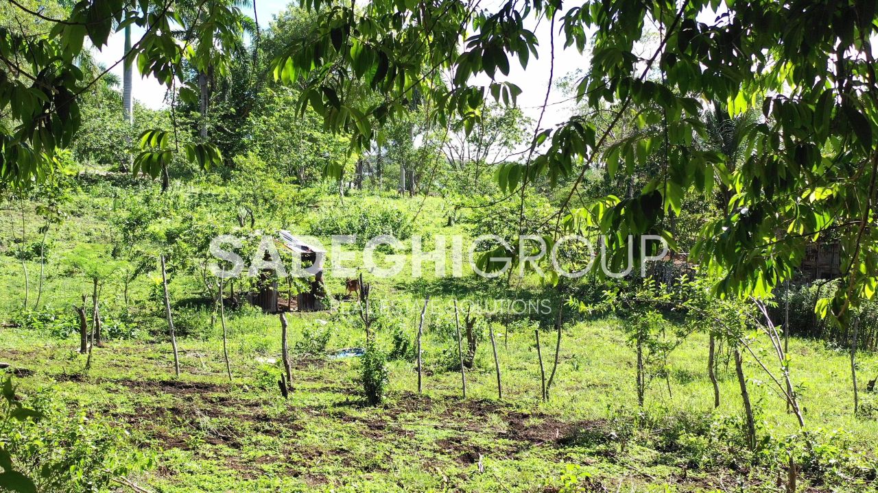 Земля в Сосуа, Доминиканская Республика, 52 520 м² - фото 15