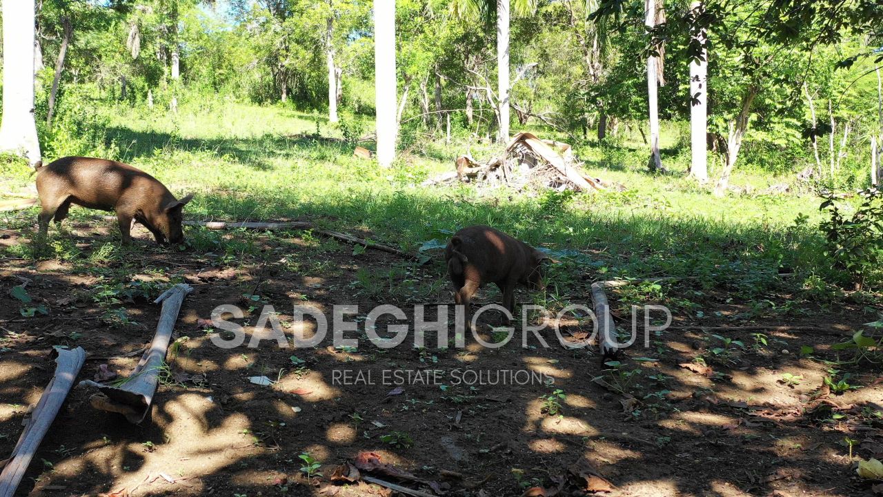 Земля в Сосуа, Доминиканская Республика, 52 520 м² - фото 13