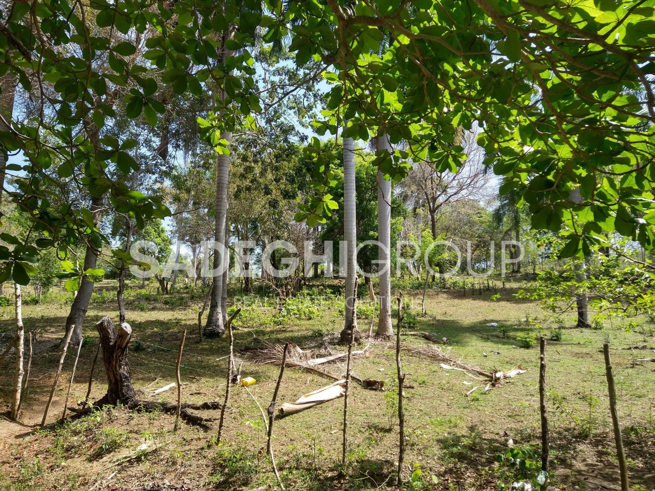 Земля в Сосуа, Доминиканская Республика, 52 520 м² - фото 9