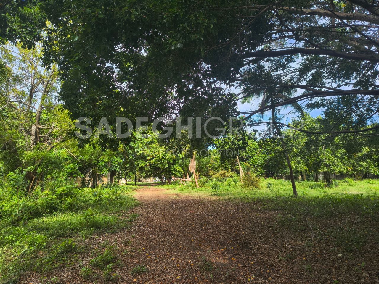 Земля в Сосуа, Доминиканская Республика, 18 700 м² - фото 13