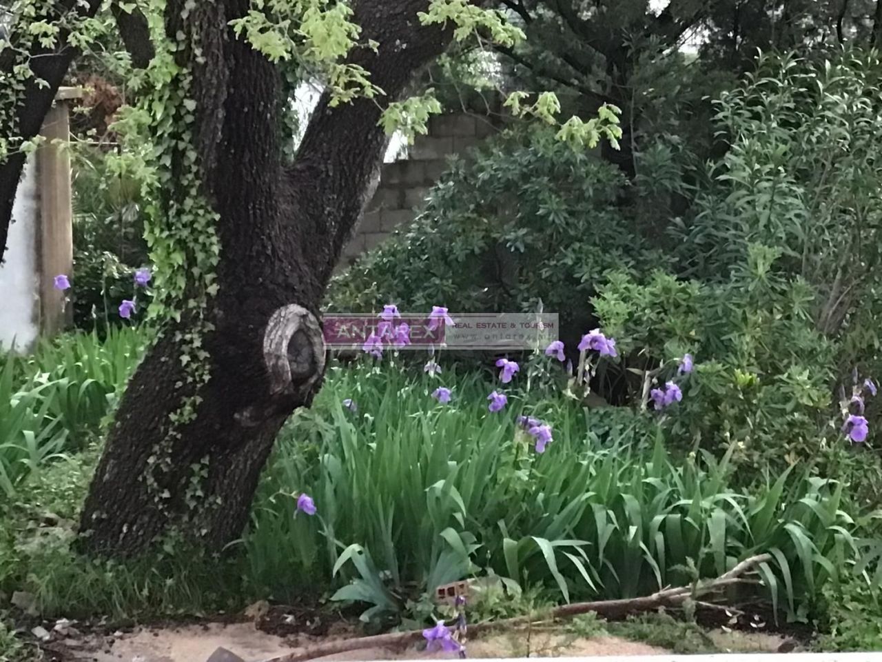 Вилла в Сутоморе, Черногория, 260 м² - фото 6